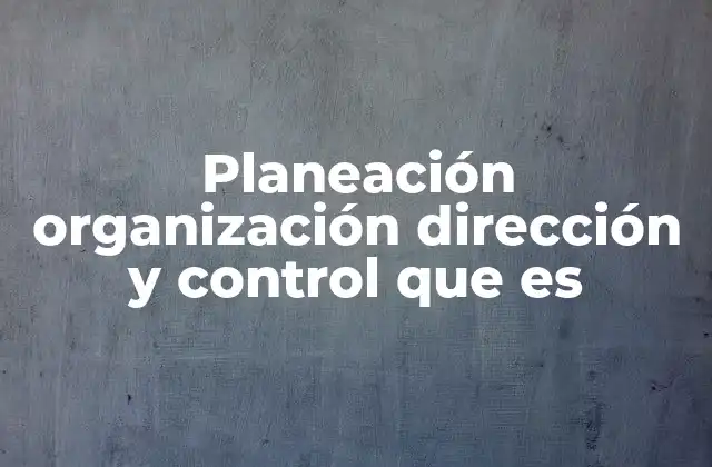 Planeación Organización Dirección y Control que es
