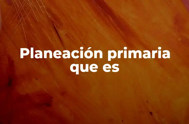 Planeación Primaria que es