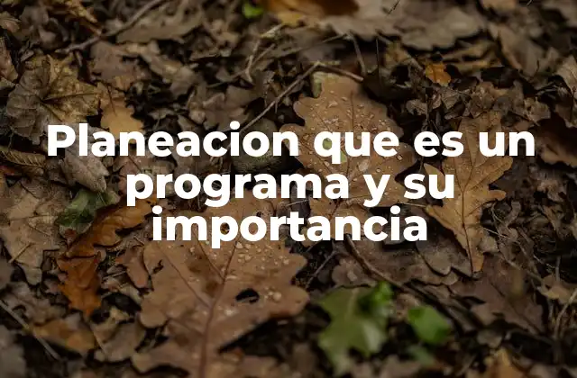 Planeacion que es un Programa y Su Importancia