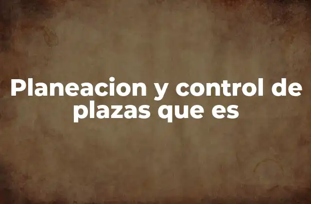 Planeacion y Control de Plazas que es