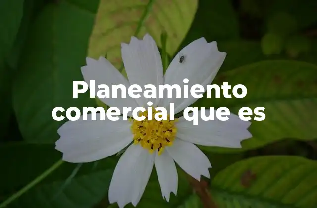 Planeamiento Comercial que es