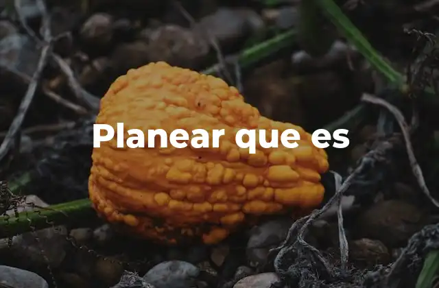 Planear que es