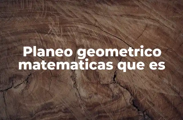 La importancia del plano geométrico en la representación espacial