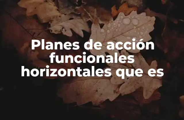 Planes de Acción Funcionales Horizontales que es