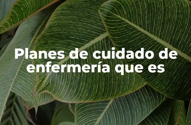 Planes de Cuidado de Enfermería que es