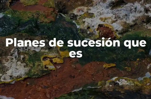 Planes de Sucesión que es