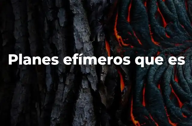 Planes Efímeros que es