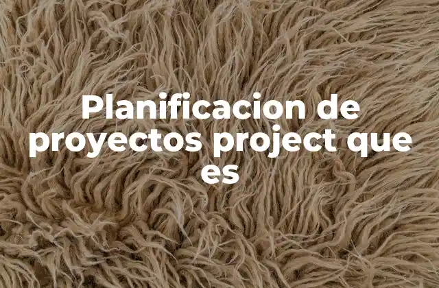 Planificacion de Proyectos Project que es