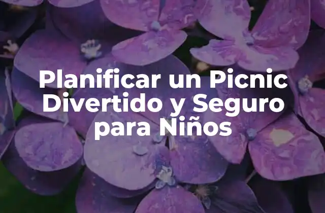 Planificar un Picnic Divertido y Seguro para Niños