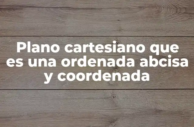 Plano Cartesiano que es una Ordenada Abcisa y Coordenada