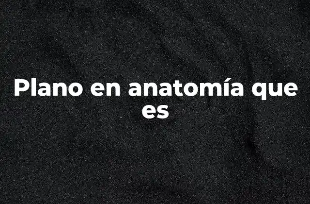 Plano en Anatomía que es