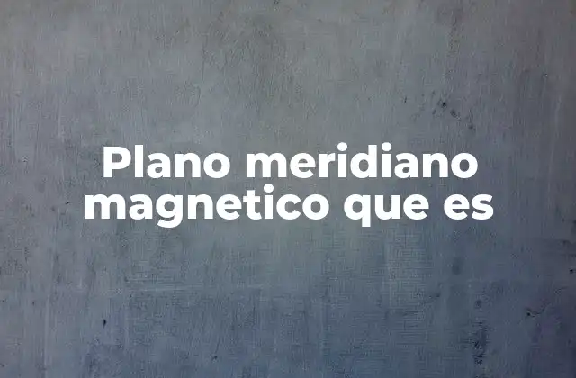 Plano Meridiano Magnetico que es
