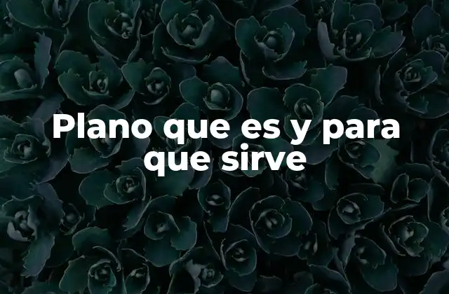 Plano que es y para que Sirve