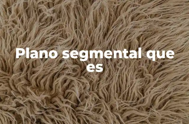 Plano Segmental que es 2 El análisis lineal del lenguaje