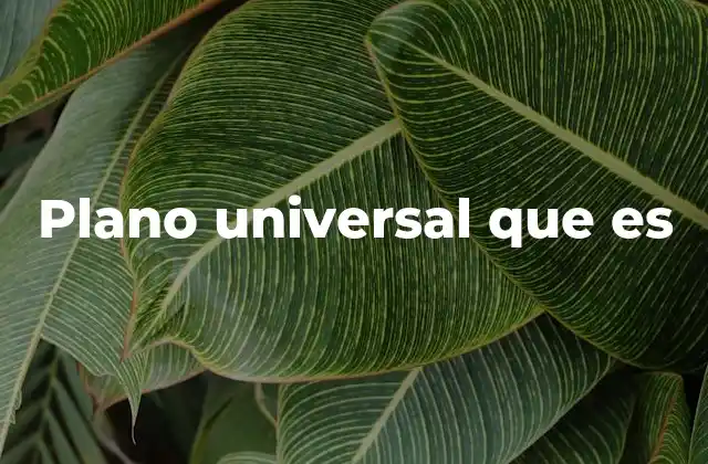Plano Universal que es
