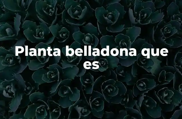 Planta Belladona que es