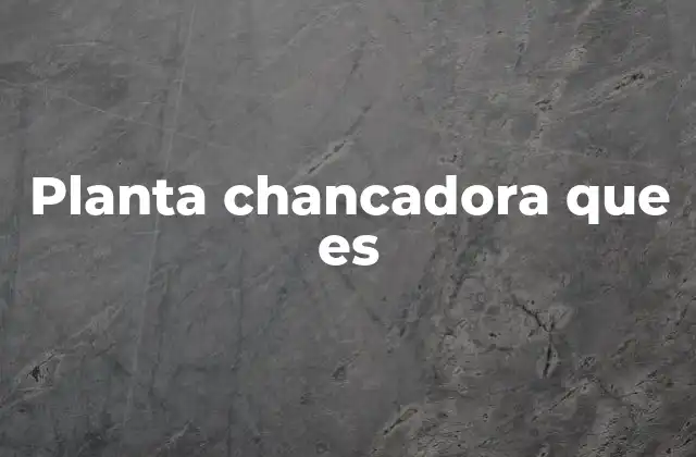 Planta Chancadora que es