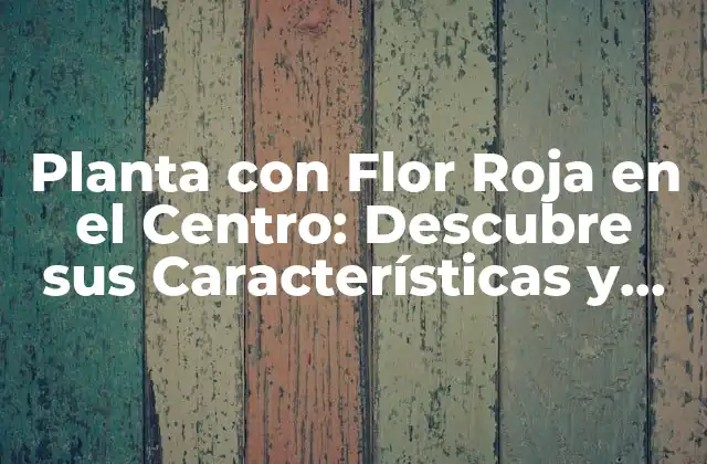 Planta con Flor Roja en el Centro: Descubre Sus Características y Cuidados