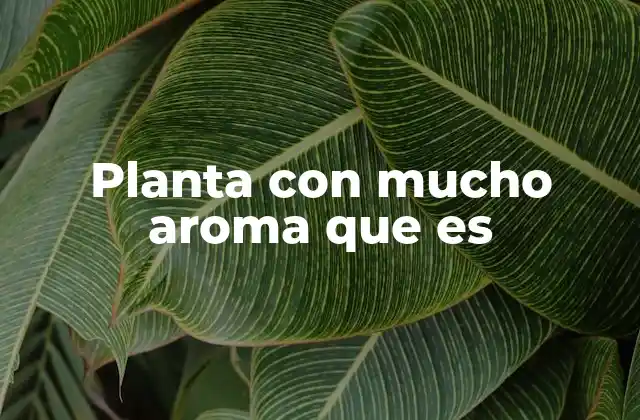 Planta con Mucho Aroma que es 2 Las plantas aromáticas y su papel en la historia humana
