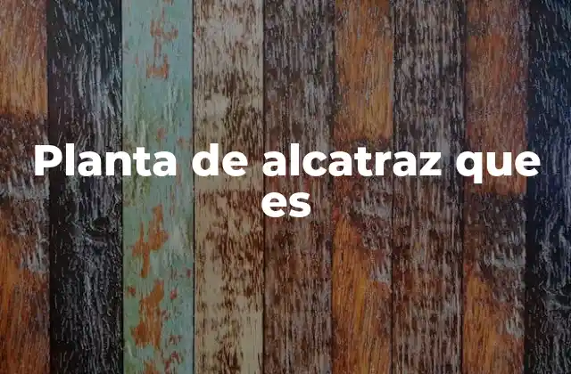 Planta de Alcatraz que es 2 La importancia ecológica de las plantas en Alcatraz