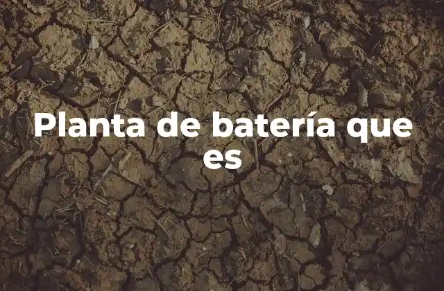 Planta de Batería que es