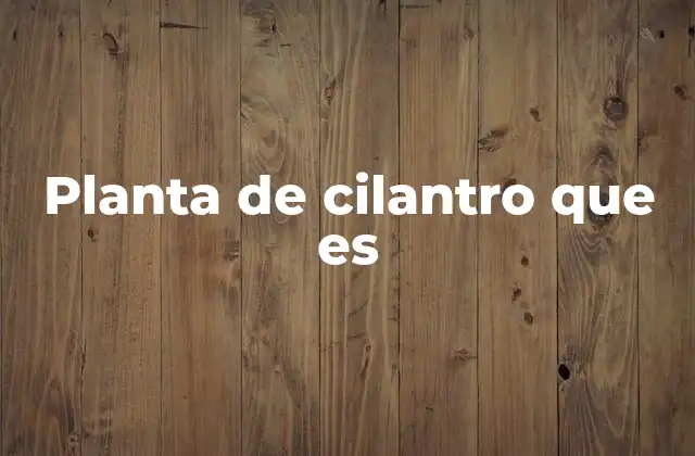 Planta de Cilantro que es