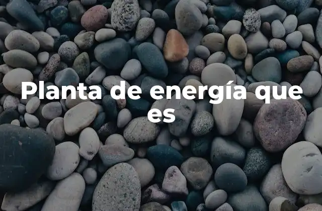 Planta de Energía que es