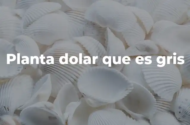 Planta Dolar que es Gris