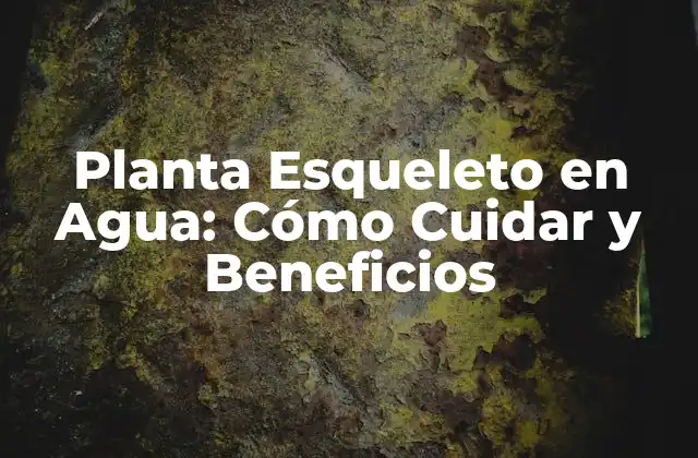 Planta Esqueleto en Agua: Cómo Cuidar y Beneficios