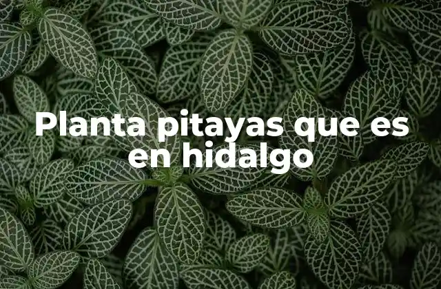 Planta Pitayas que es en Hidalgo