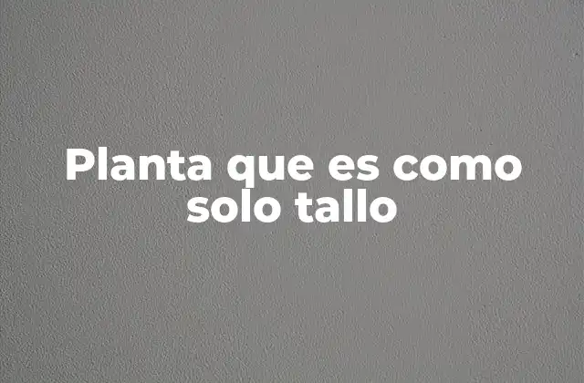 Planta que es como Solo Tallo 2 Las adaptaciones de las plantas que no presentan hojas visibles
