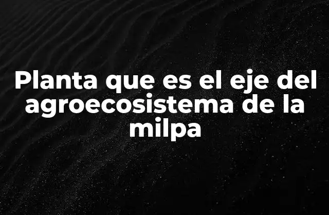 Planta que es el Eje Del Agroecosistema de la Milpa