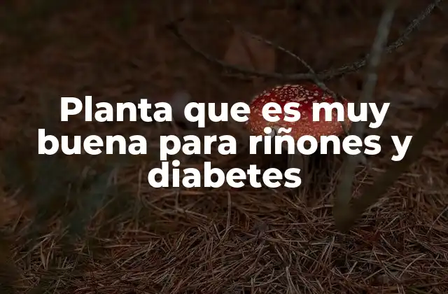 Planta que es Muy Buena para Riñones y Diabetes