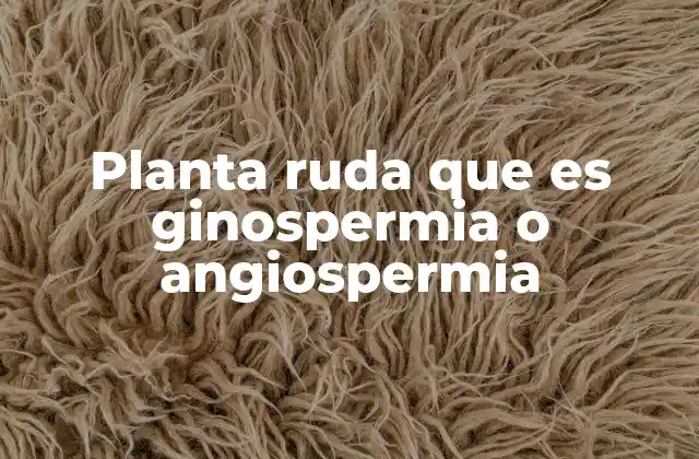 Planta Ruda que es Ginospermia o Angiospermia