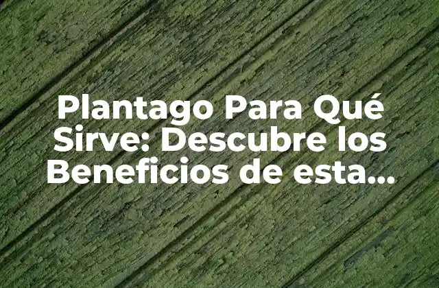 Orígenes y Características de la Plantago