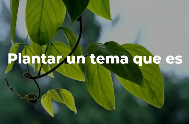 Plantar un Tema que es