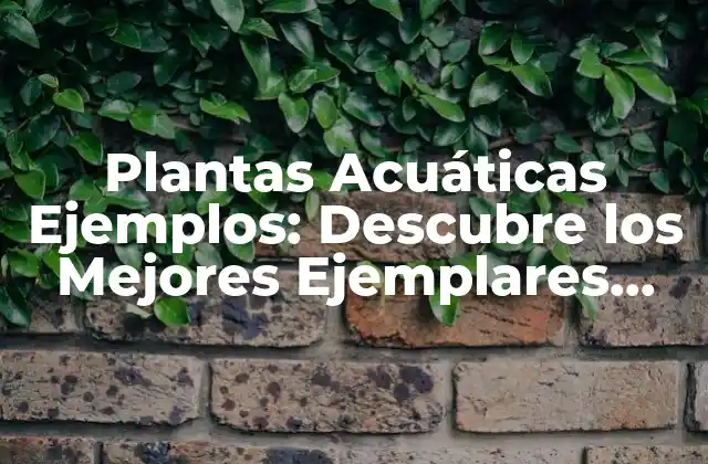 Plantas Acuáticas Ejemplos: Descubre los Mejores Ejemplares para Tu Hogar