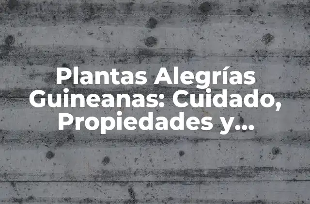 Plantas Alegrías Guineanas: Cuidado, Propiedades y Beneficios