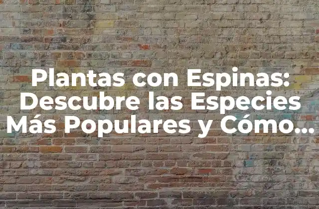 Plantas con Espinas: Descubre las Especies Más Populares y Cómo Cuidarlas