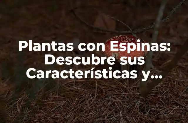 Plantas con Espinas: Descubre Sus Características y Cuidados 2 Características de las Plantas con Espinas
