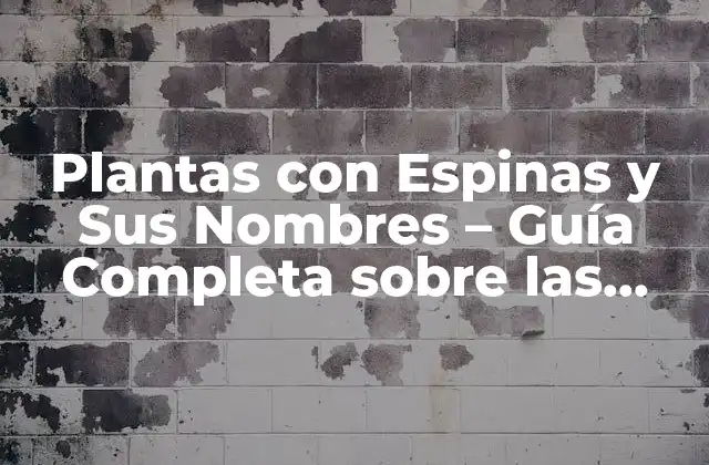 Plantas con Espinas y Sus Nombres – Guía Completa sobre las Plantas Espinosas