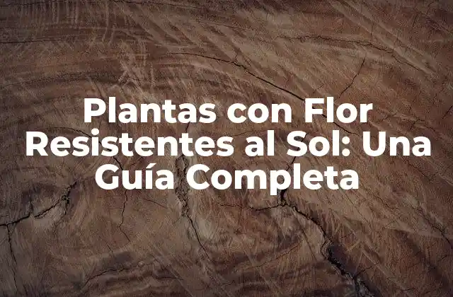 Plantas con Flor Resistentes Al Sol: una Guía Completa