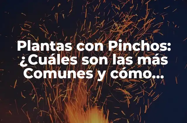 Plantas con Pinchos: ¿cuáles Son las Más Comunes y Cómo Cuidarlas?