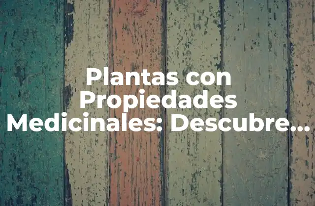 Plantas con Propiedades Medicinales: Descubre los Beneficios de la Naturaleza