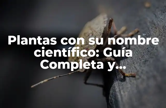 Plantas con Su Nombre Científico: Guía Completa y Actualizada