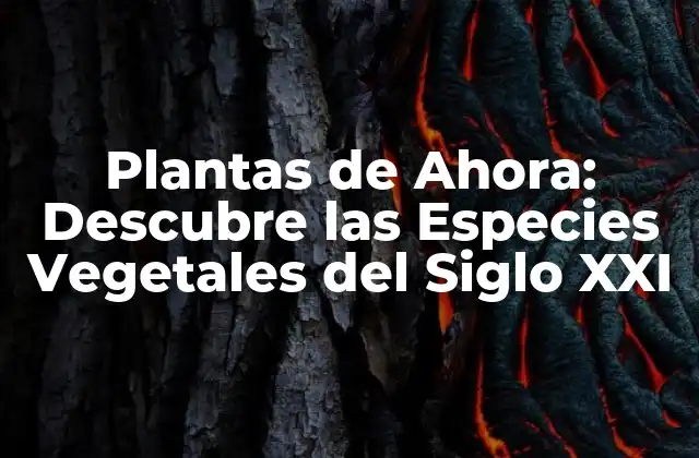 Plantas de Ahora: Descubre las Especies Vegetales Del Siglo Xxi