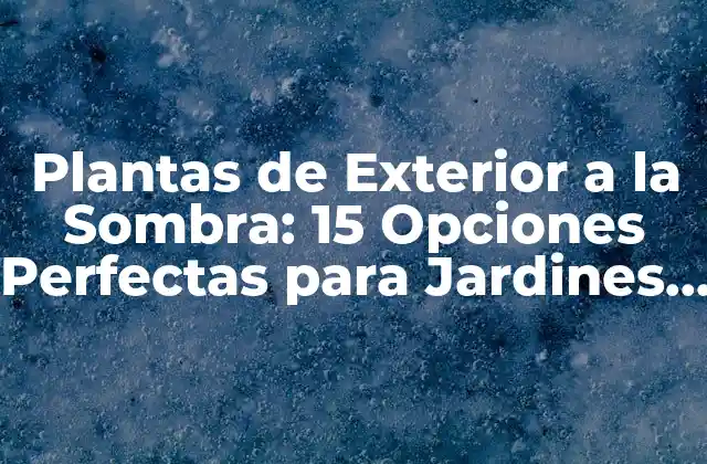 Plantas de Exterior a la Sombra: 15 Opciones Perfectas para Jardines y Terrazas