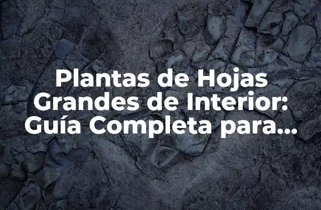 Plantas de Hojas Grandes de Interior: Guía Completa para Decorar Tu Hogar