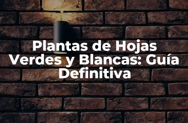 Plantas de Hojas Verdes y Blancas: Guía Definitiva
