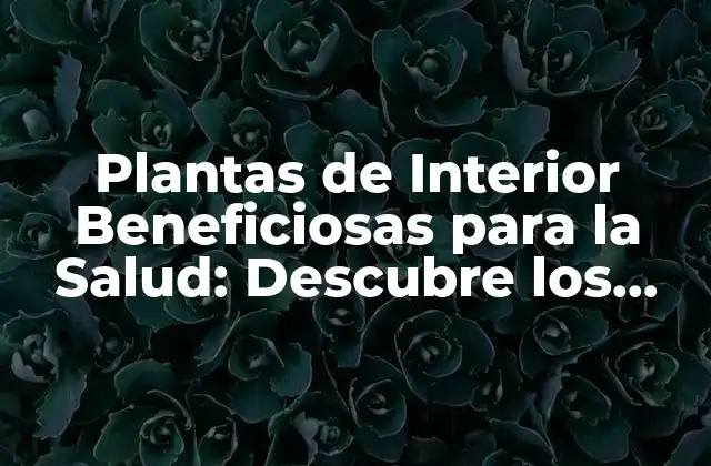 Plantas de Interior Beneficiosas para la Salud: Descubre los Beneficios